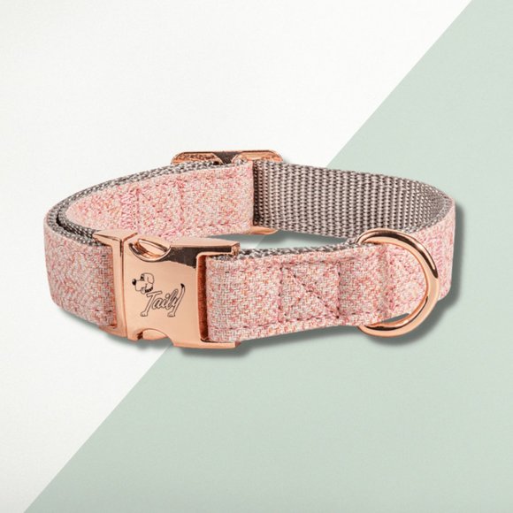🐶 NEW 🐶 Taily Blush Pink Collar & City Lead Set (Size: Small) - Picture 2 of 5